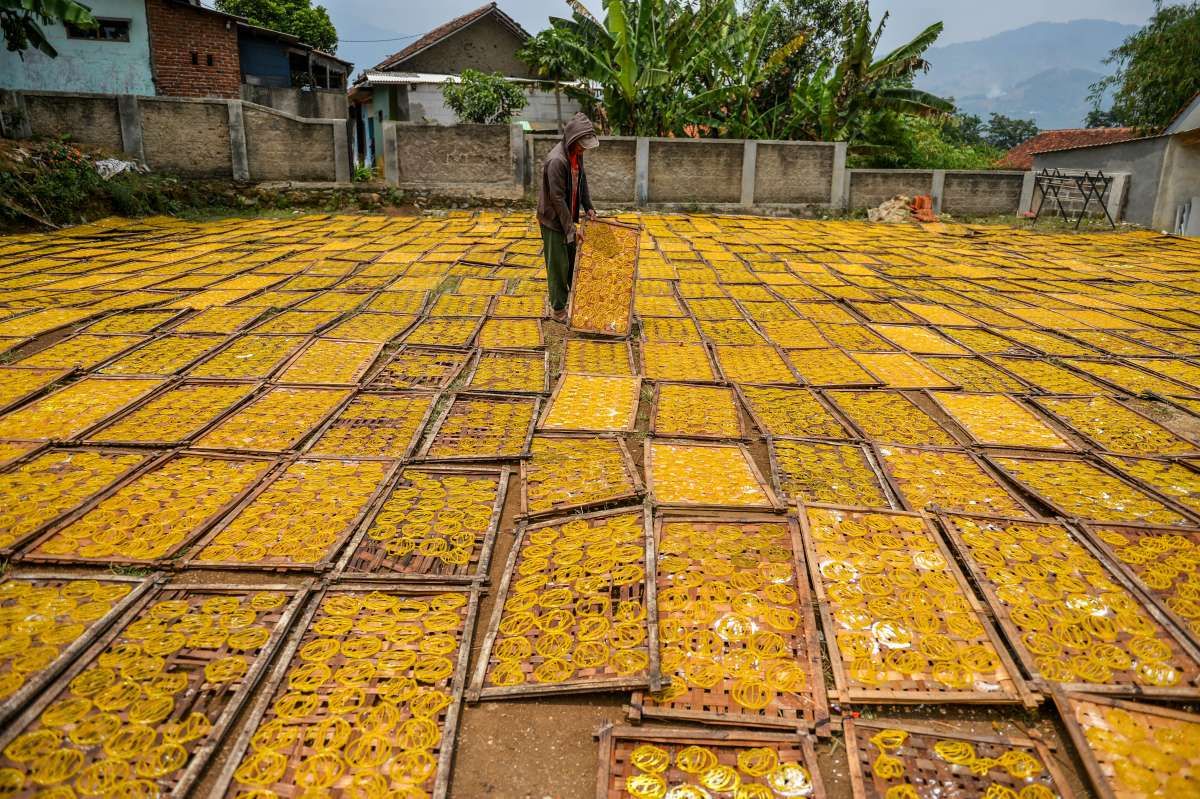Laba Tahun Lalu Mengempis, Industri Penjaminan Berupaya Perbaiki Efisiensi