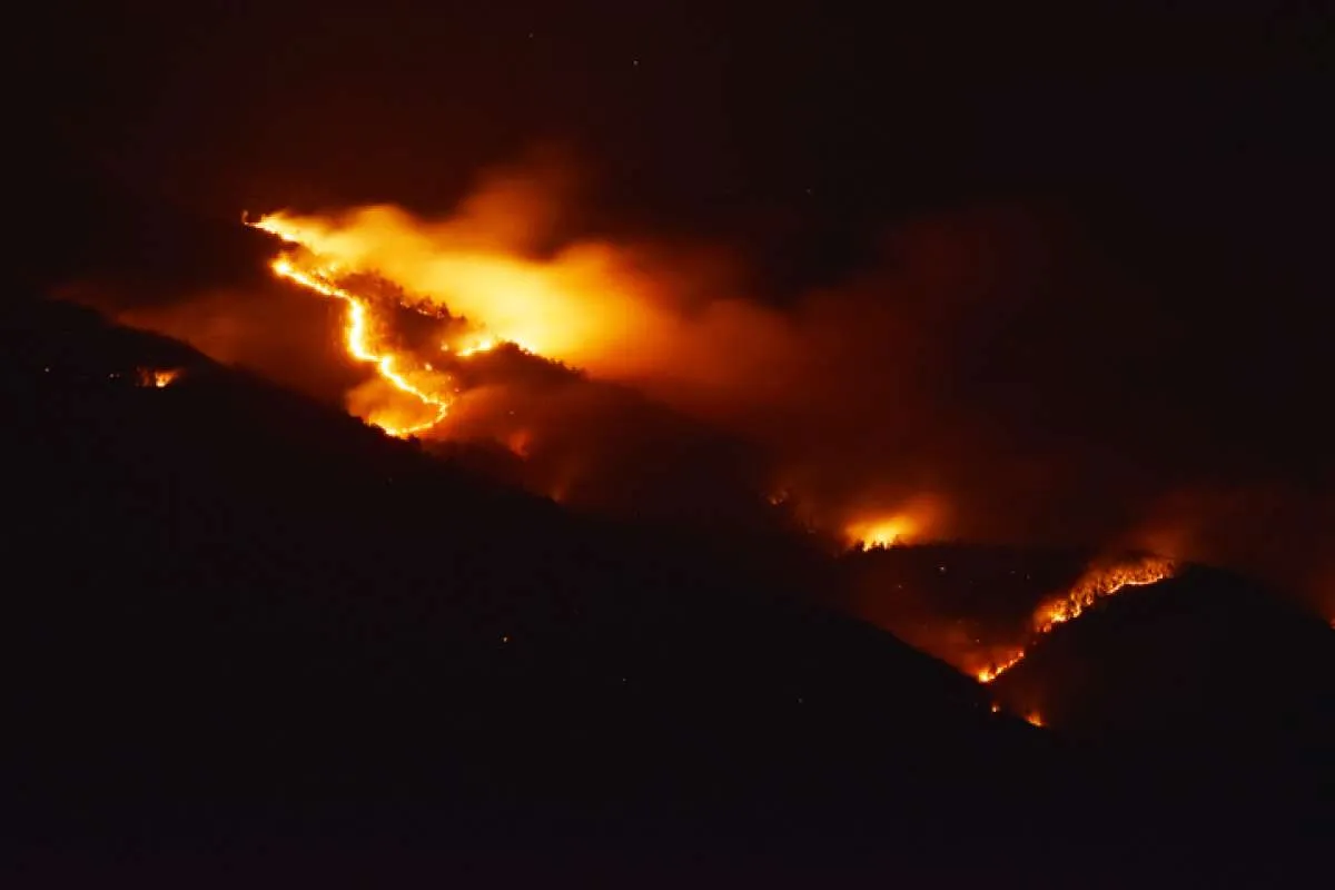 Atasi Kebakaran Gunung Lawu Water Bombing Diarahkan ke Perbatasan Magetan-Karanganyar