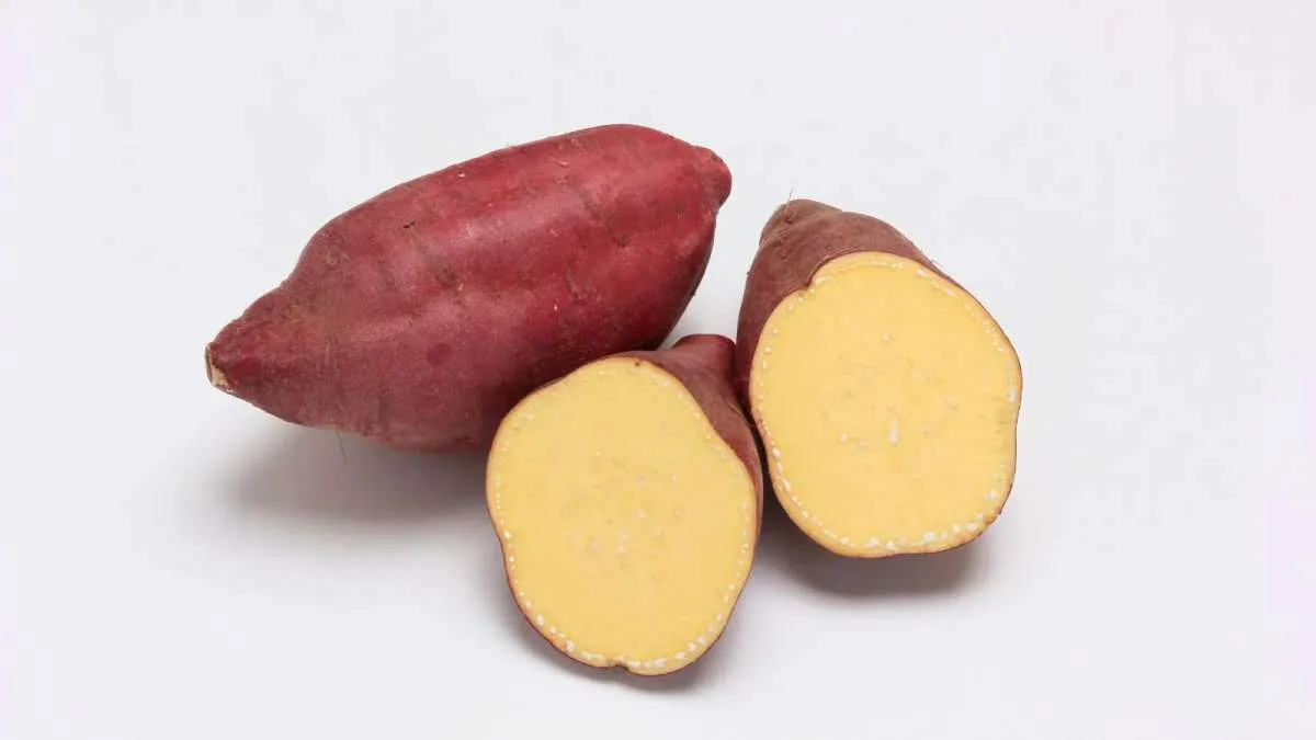 Bolehkah Makan Ubi Jalar Setiap Hari? Ini Jawabannya