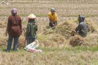 Deteksi BMKG: Ada Potensi Turun Hujan di Beberapa Titik di Wilayah Jawa Tengah