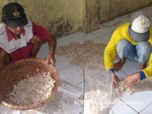 Sentra kerupuk Indramayu: Kenaikan bahan baku bikin produsen pusing (3)