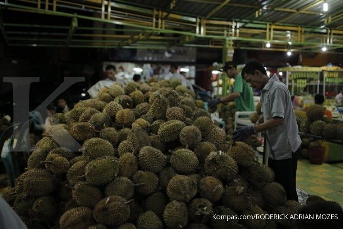 Festival durian Ndirun digelar 25-26 Maret 2017  