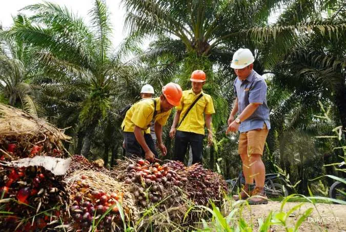 Cisadane Sawit Raya (CSRA) Records Palm Oil Production of 48,663 Tons in 2023