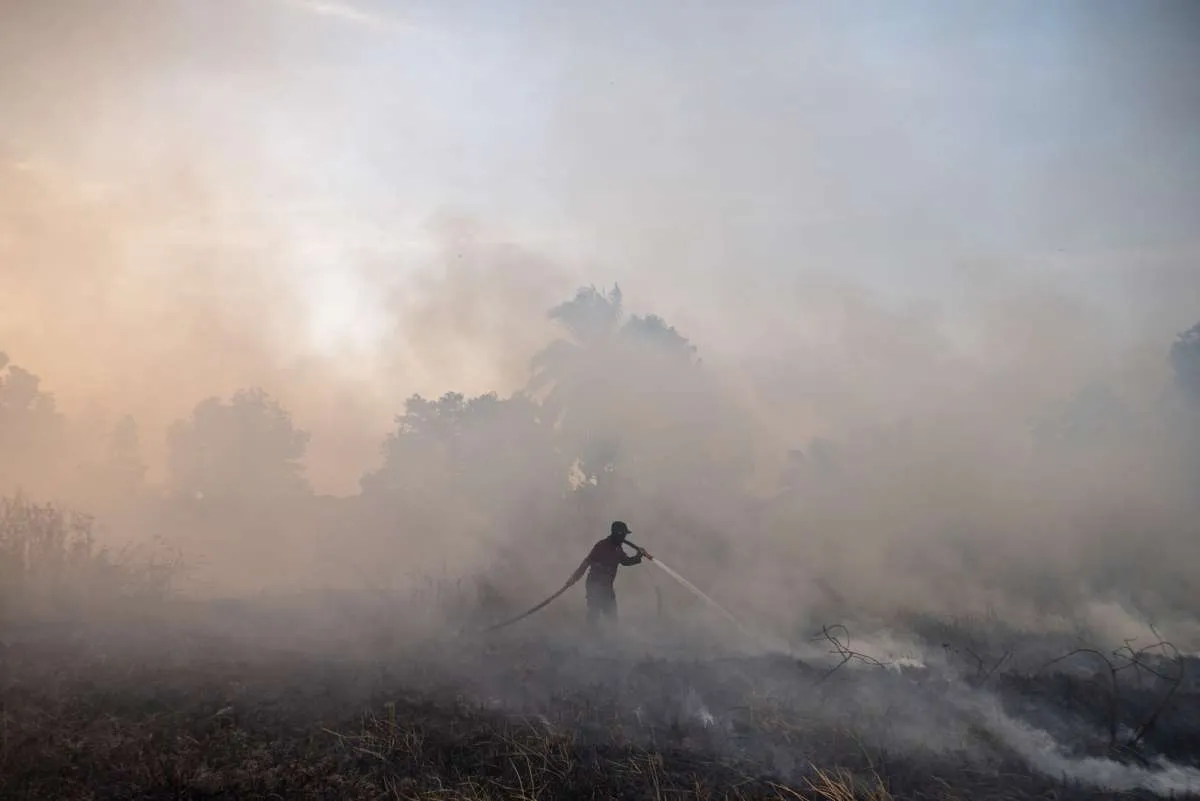 Kebakaran Hutan dan Lahan (Karhutla) di Sumatera Selatan Masih Terus Meluas