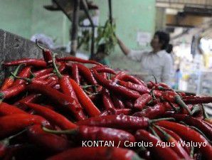 Harga cabai bisa mencapai Rp 40.000 per kg hingga akhir tahun