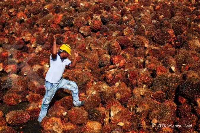 Malaysia to respond with 'might and tact' if EU proceeds with palm oil curbs