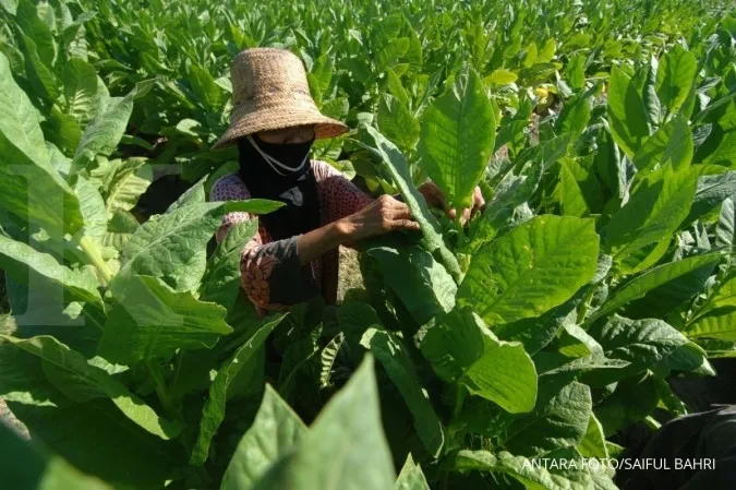 FCTC ratification must consider national interests
