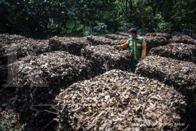 Macam-Macam Alternatif Media Tanam Organik
