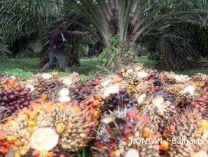 CPO tumbang terpicu kegagalan AS menyepakati kenaikan batas utang