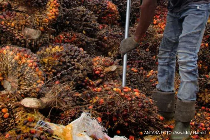 Indonesia yet to decide on whether to revise palm oil export levy - Officials