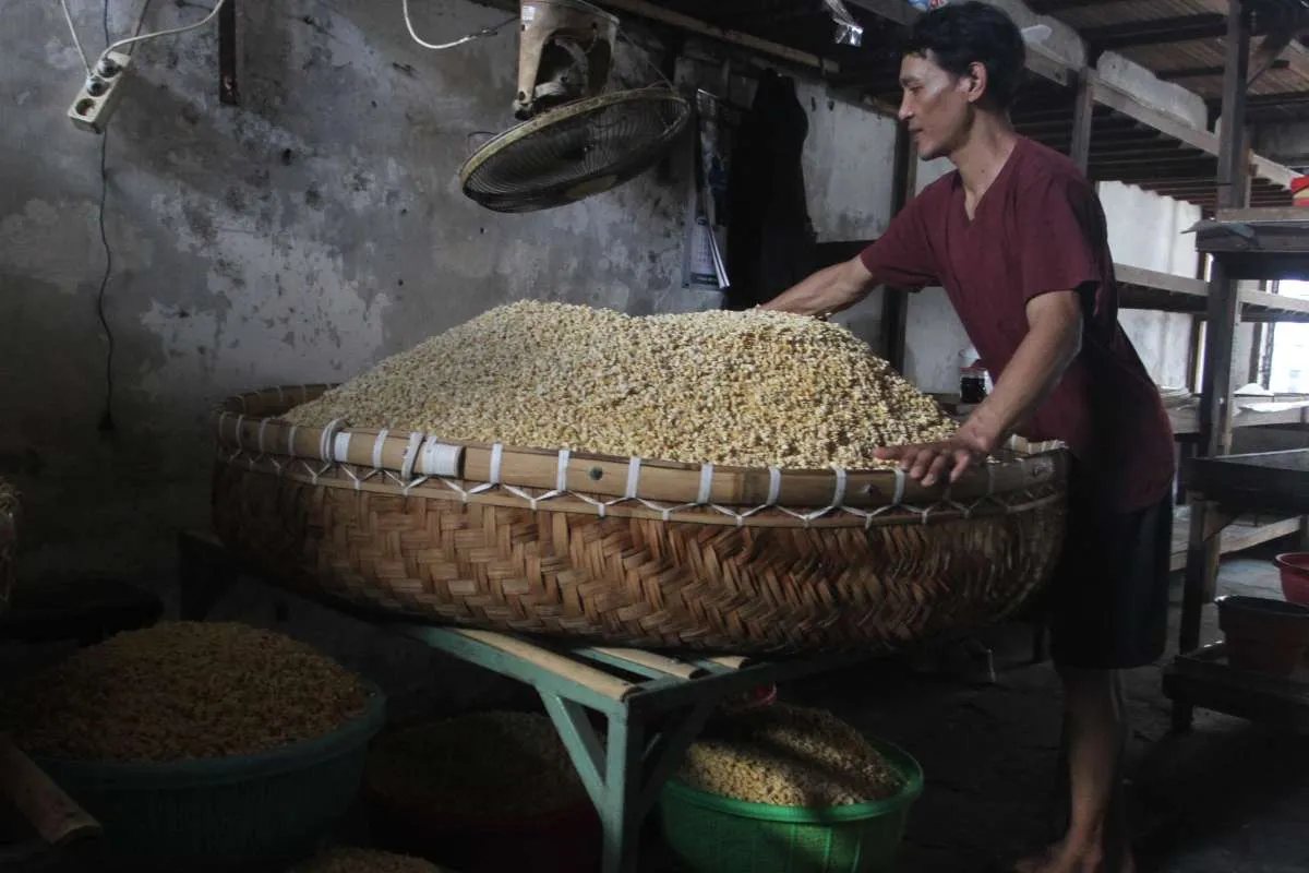 India Tambah Produksi Kedelai, Impor Minyak Sawit Bisa Tertekan