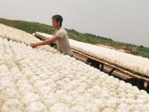 Permintaan berkurang, harga singkong diam di tempat