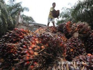 Kinerja BWPT bakal ditopang harga dan hasil panen