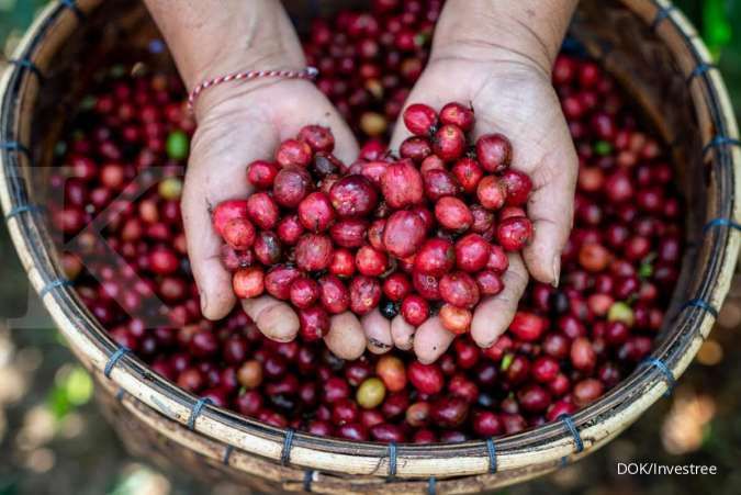 Gandeng Java Mountain Coffee, Investree garap green financing