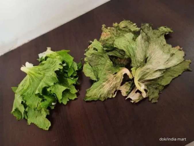 3 Tips Mengolah Sayuran Hijau yang Sudah Layu Jadi Segar Kembali