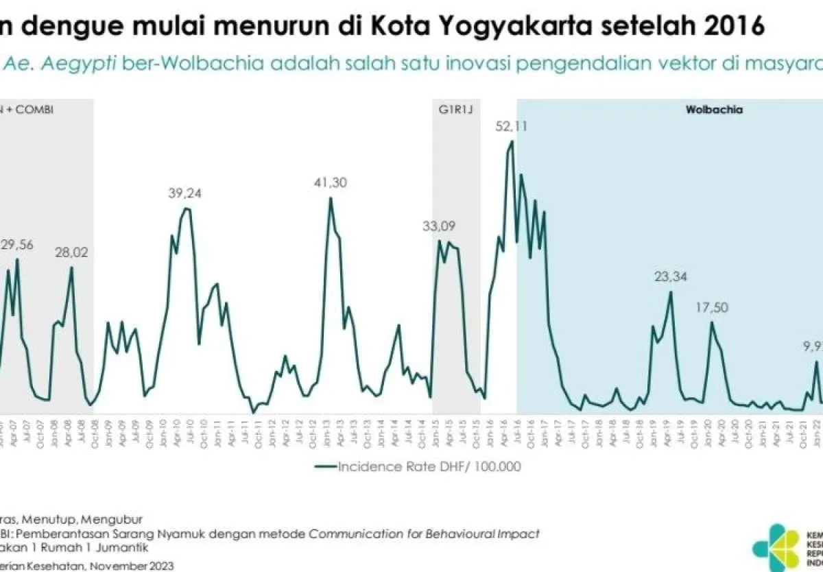Kemenkes: Bakteri Wolbachia Turunkan Frekuensi Kesakitan Akibat DBD