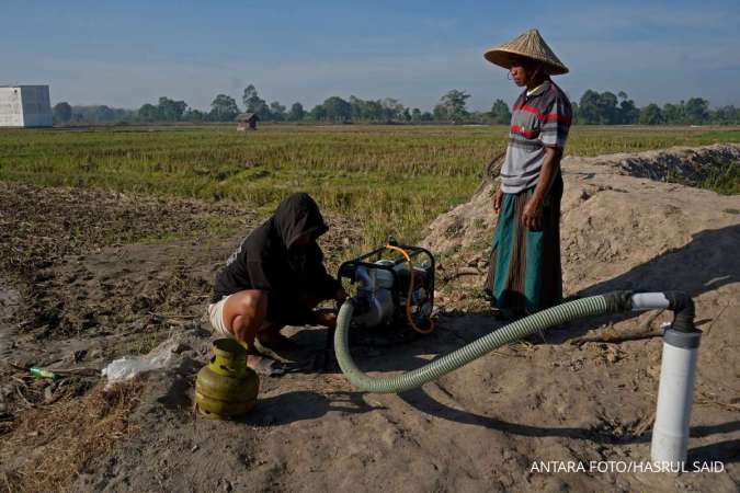 Hujan Tidak Turun di Provinsi Ini Hampir 4 Bulan
