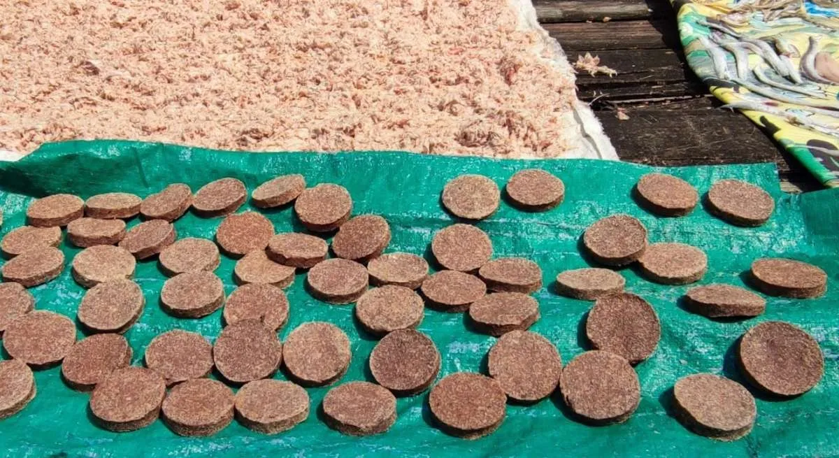 Kisah Sukses Terasi Produk UMKM Kepri di Bawah Dukungan MIND ID