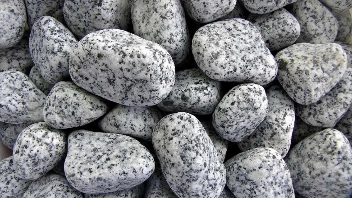 7 Januari Memperingati Hari Batuan Tua, Apa itu? Berikut Penjelasannya