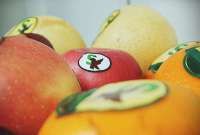 Kantongi Restu, Segar Kumala Indonesia (BUAH) Siap Eksekusi Stock Split