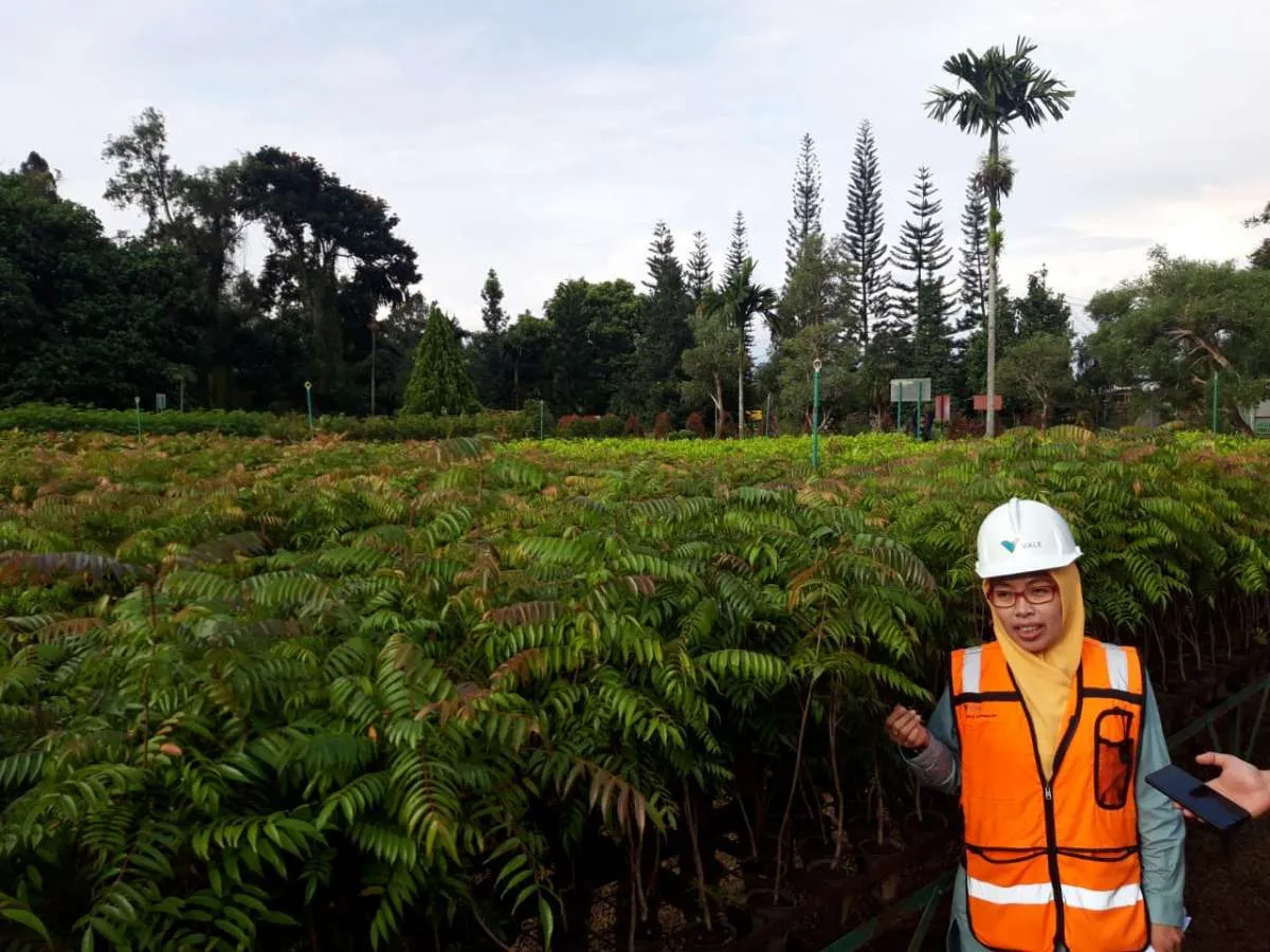 Vale Indonesia (INCO) Rela Mengurangi Keuntungan Demi Penggunaan Energi Bersih