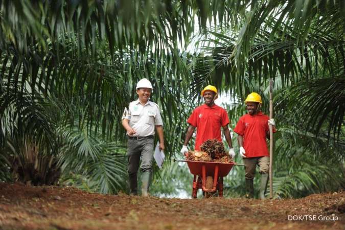 Perusahaan Kelapa Sawit Masuk, Masyarakat Papua Minta Perlindungan Hutan Adat