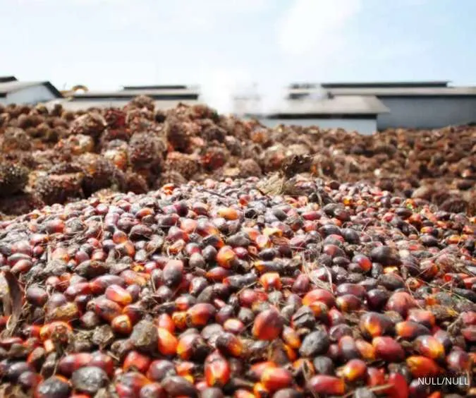 Indonesia to Set May 1-15 Crude Palm Oil Reference Price at $955.53/T- official