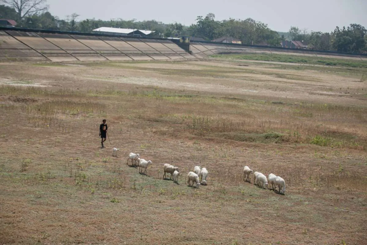 Prakiraan Cuaca BMKG: Hari ini Jawa Tengah Masih Mengering, Belum Ada Tanda Hujan