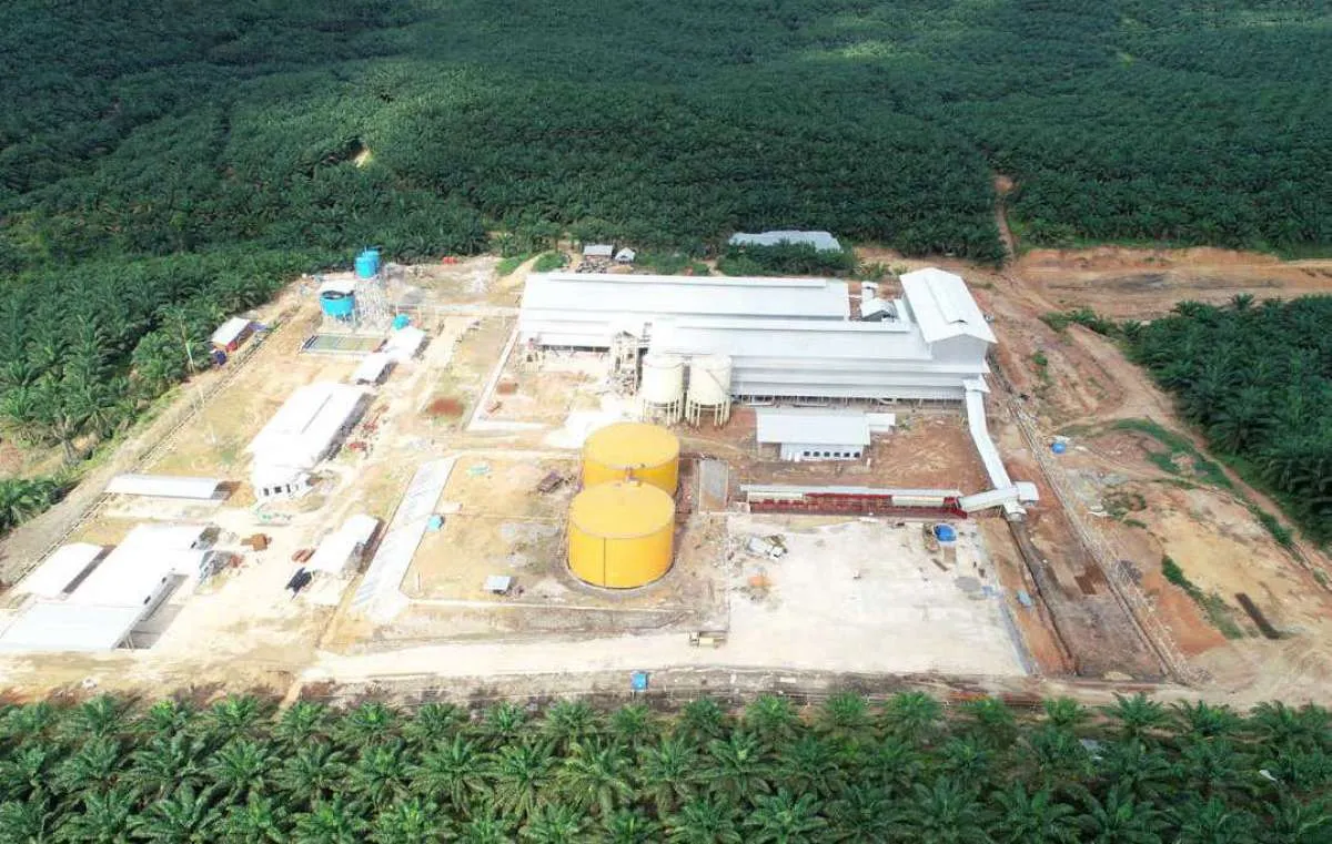 Ada Sentimen DMO Minyak Sawit, Panin Sekuritas Rekomendasikan Beli Saham LSIP