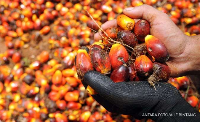 Menilik Wacana Penerapan B40 di Tengah Stagnasi Produksi Sawit Nasional