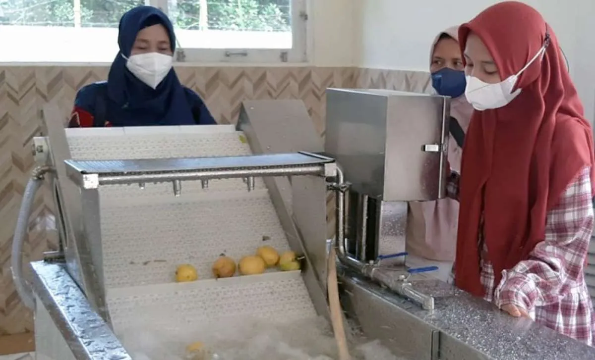 Upaya Kementan Mendorong Perempuan Berwirausaha Pertanian