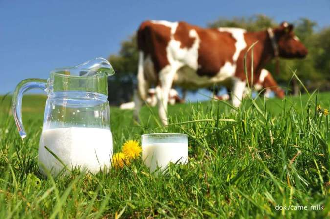 7 Manfaat Rutin Minum Susu Buat Tubuh Selain Baik Buat Kesehatan Tulang
