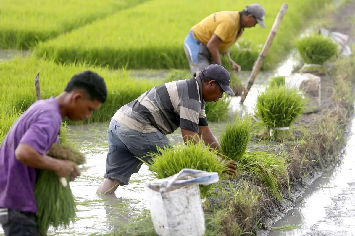Apindo Beberkan 4 Strategi Jaga Laju Pertumbuhan Ekonomi hingga 2029