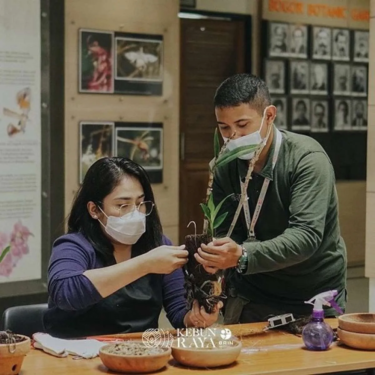 Tingkatkan Edukasi Masyarakat, MNR Hadirkan Ragam Inovasi di 4 Kebun Raya