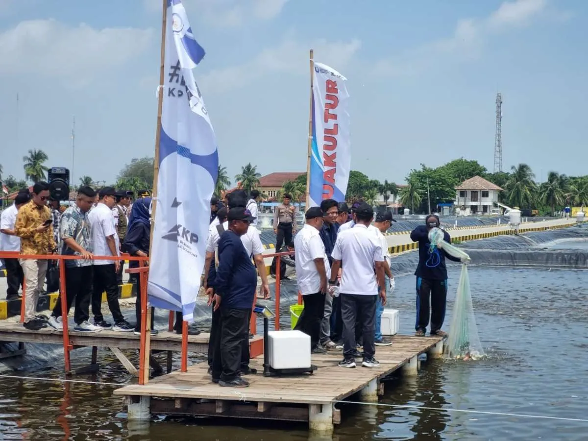Menteri KKP Bersama eFishery Tinjau Keberlangsungan Budidaya Nila Salin di Karawang 