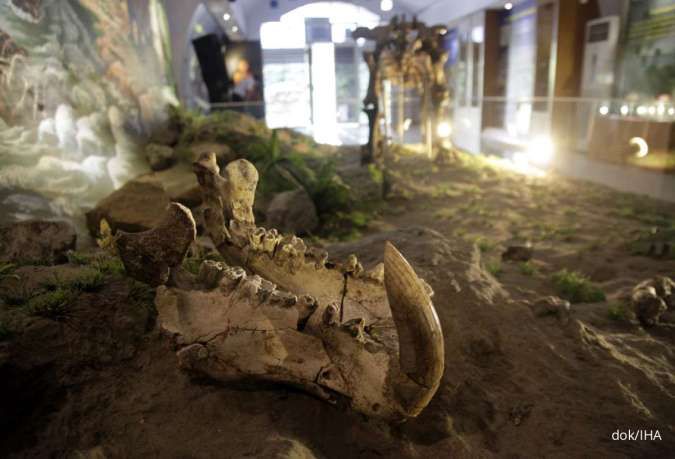 Museum Sangiran Ajak Peneliti Ikut Call for Papers Konferensi Prasejarah Nasional