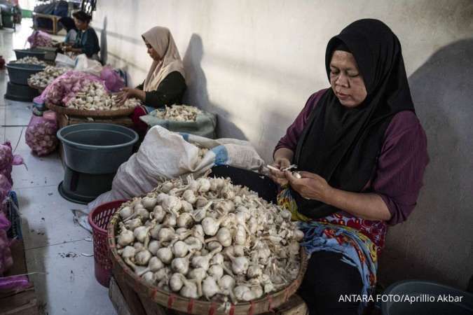 Pengupas Bawang dalam Lensa Onion Paradox