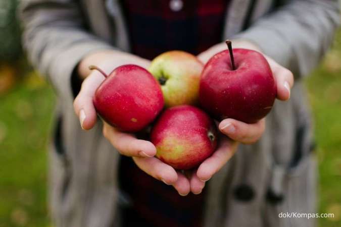 Ada Apel, Ini 5 Buah untuk Membuat Perut Kenyang Lebih Lama