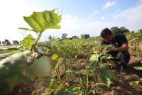 Cek Prakiraan Cuaca Sumsel Minggu (1/3): Cek Kondisi Palembang hingga Pagar Alam