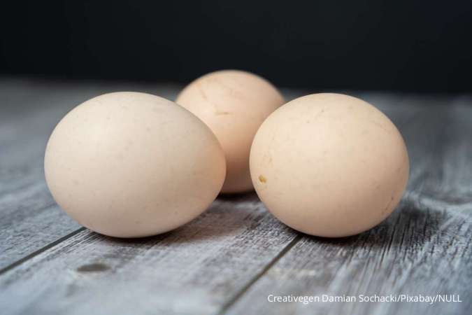 Catat 5 Manfaat Telur Ayam untuk Kesehatan yang Tidak Terduga