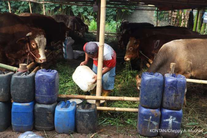 Panduan Kurban Online Makin Praktis: Ini Syarat Hewan dan Cara Pemula Beribadah