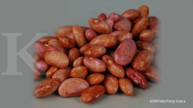 Kacang Merah, Organik, Pangan
