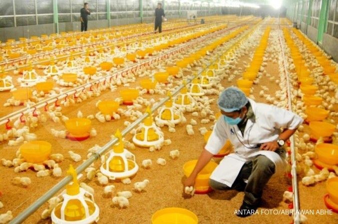 Intip Rekomendasi Saham dan Prospek Kinerja Emiten Poultry di Sisa Tahun 2023