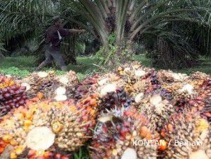 Reli minyak mentah dan kedelai picu CPO melejit 1,8%