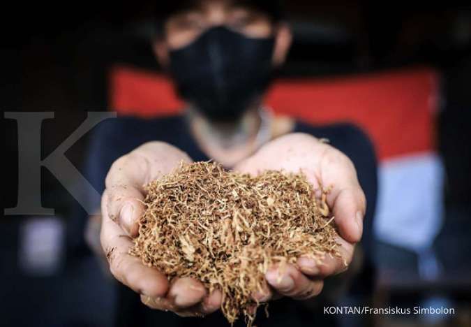 Ekosistem Tembakau Menilai Proses Revisi PP No 109/2012 Tidak Sesuai Aturan
