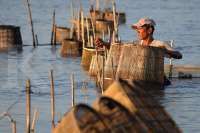 KKP Pastikan Isu Udang Radioaktif Tak Ganggu Komoditas Perikanan Lain