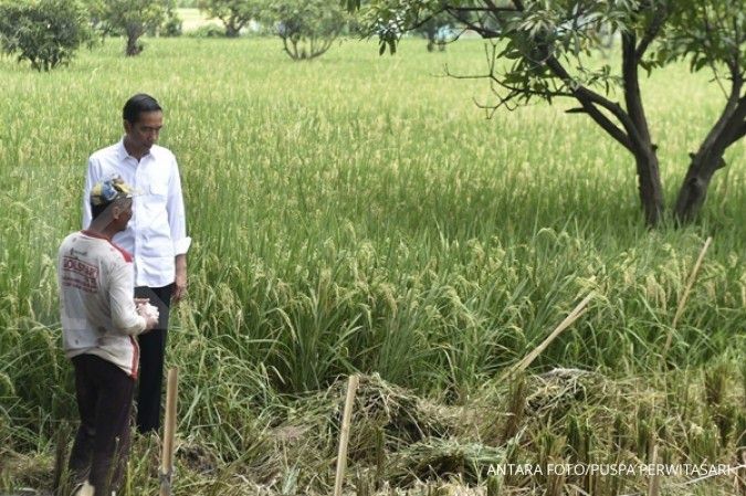 Jokowi launches e-commerce for farmers