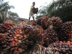 Ekspor kelapa sawit pada Januari 2011 melonjak nyaris 100%