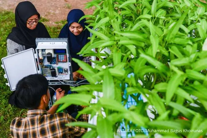 12 Tanaman Hidroponik yang Bisa Menghasilkan Uang, Simak Penjelasan Lengkapya!