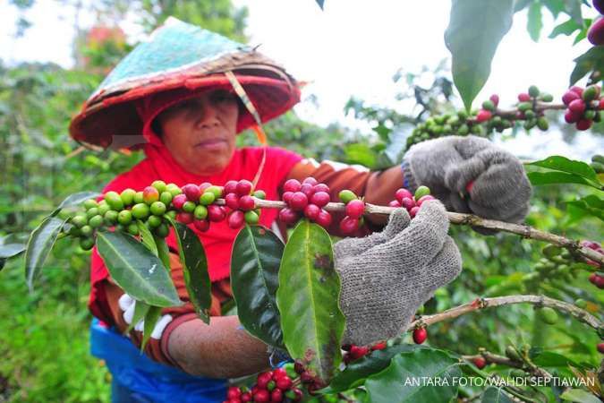 Emerging Economic Potentials in the Bujang Raba Forest: Tourism & Coffee Industries